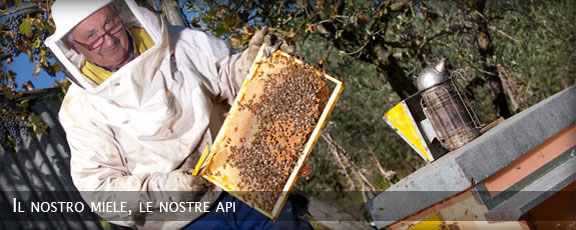 Il nostro miele, le nostre api